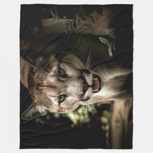 BERGLÖWE FLEECEDECKE (Vorderseite)