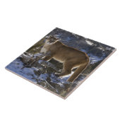 Berglöwe Fliese (Seite)