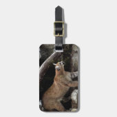 Berglöwe-Gepäckanhänger Gepäckanhänger (Vorderseite vertikal)