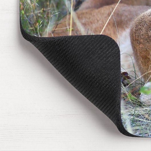 Berglöwe - Hmmm Mousepad (Ecke)