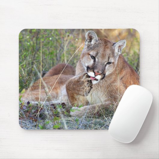 Berglöwe - Hmmm Mousepad (Mit Mouse)