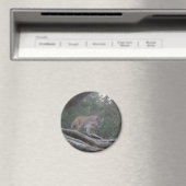 Berglöwe Magnet (In Situ (Geschirrspüler))