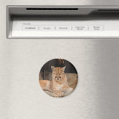 Berglöwe Magnet (In Situ (Geschirrspüler))