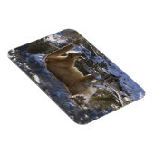 Berglöwe Magnet (Rechte Seite)