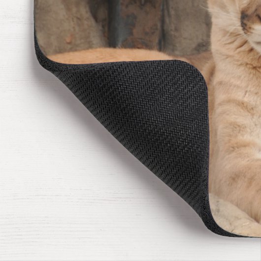 Berglöwe Mousepad (Ecke)