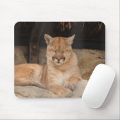 Berglöwe Mousepad (Mit Mouse)