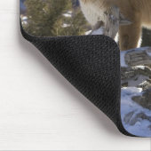 Berglöwe Mousepad (Ecke)