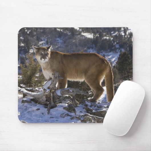 Berglöwe Mousepad (Mit Mouse)