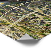 Berglöwe Poster (Ecke)