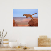 Berglöwe Poster (Küche)