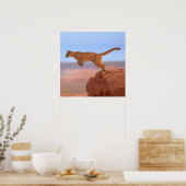 Berglöwe Poster (Küche)