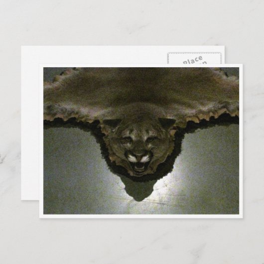 Berglöwe Postkarte (Vorne/Hinten)