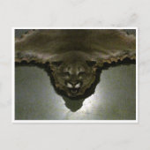 Berglöwe Postkarte (Vorderseite)