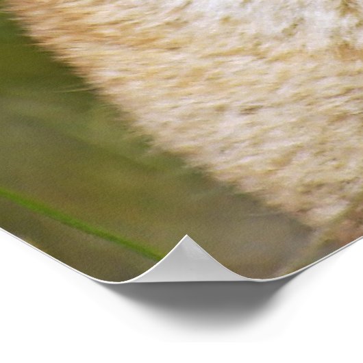 Berglöwe - Riecht nach den Blume Poster (Ecke)