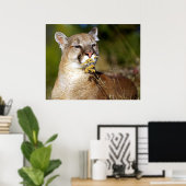 Berglöwe - Riecht nach den Blume Poster (Heimbüro)