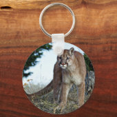 Berglöwe Schlüsselanhänger (Vorderseite)