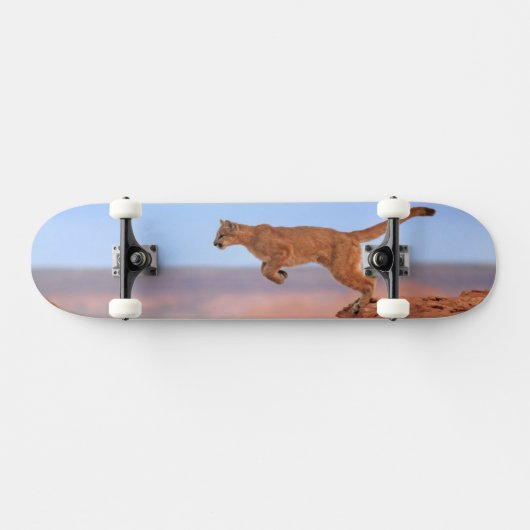 Berglöwe Skateboard (Horizontal)