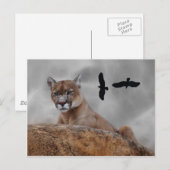 Berglöwen achten postkarte (Vorne/Hinten)