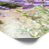 Berglupine bei Yosemite Fotodruck (Ecke)