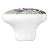 Berglupine bei Yosemite Keramikknauf (Seitenansicht)