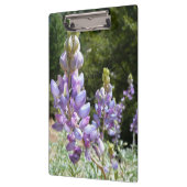 Berglupine bei Yosemite Klemmbrett (Links)