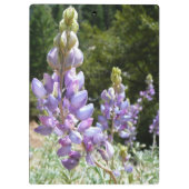 Berglupine bei Yosemite Klemmbrett (Rückseite)