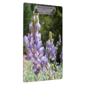 Berglupine bei Yosemite Klemmbrett (Rechts)