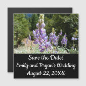 Berglupine bei Yosemite Magnetkarte (Vorne/Hinten)