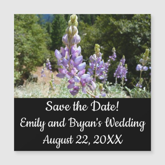 Berglupine bei Yosemite Magnetkarte (Vorderseite)