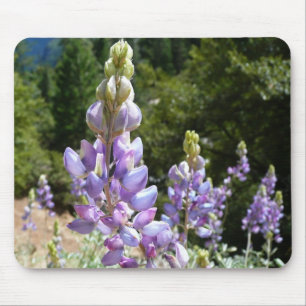 Berglupine bei Yosemite Mousepad