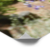 Berglupine bei Yosemite Poster (Ecke)