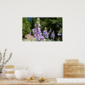 Berglupine bei Yosemite Poster (Küche)