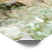 Berglupine bei Yosemite Poster (Ecke)