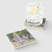 Berglupine bei Yosemite Steinuntersetzer (Seitenansicht)