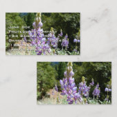 Berglupine bei Yosemite Visitenkarte (Vorne/Hinten)