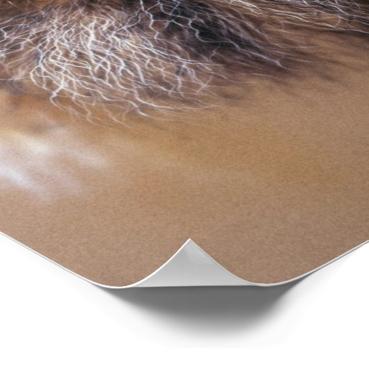 Bergmann Poster (Ecke)