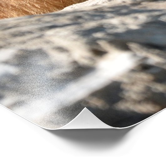 Bergmarmot Fotodruck (Ecke)