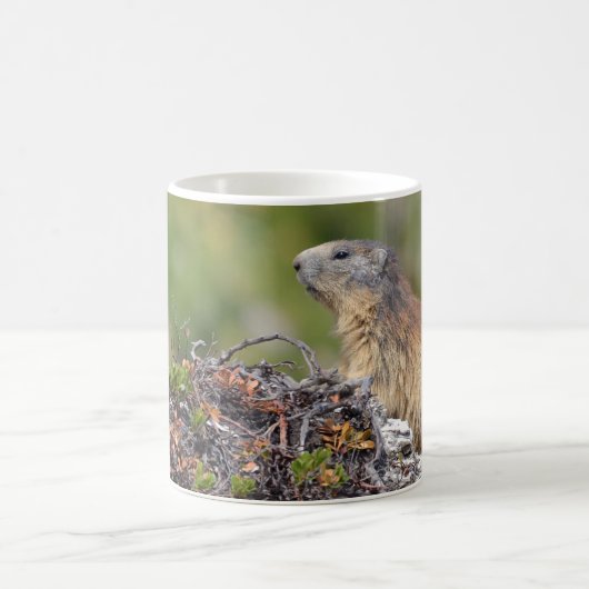 Bergmarmot Kaffeetasse (Mittel)