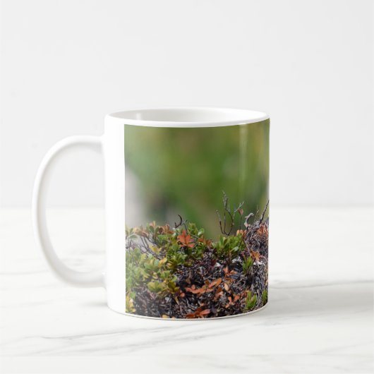 Bergmarmot Kaffeetasse (Links)