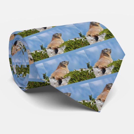 Bergmarmot Krawatte (Gerollt)