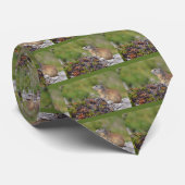 Bergmarmot Krawatte (Gerollt)