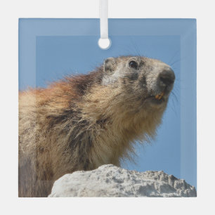 Bergmarmot Ornament Aus Glas