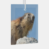 Bergmarmot Ornament Aus Glas (Vorderseite Rechts)
