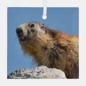 Bergmarmot Ornament Aus Glas (Rückseite)
