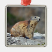 Bergmarmot Ornament Aus Metall (Vorne)