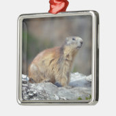Bergmarmot Ornament Aus Metall (Links)