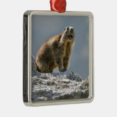 Bergmarmot Ornament Aus Metall (Rechts)