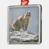 Bergmarmot Ornament Aus Metall (Links)
