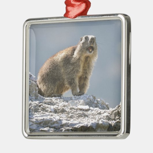 Bergmarmot Ornament Aus Metall (Links)