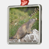 Bergmarmot Ornament Aus Metall (Links)
